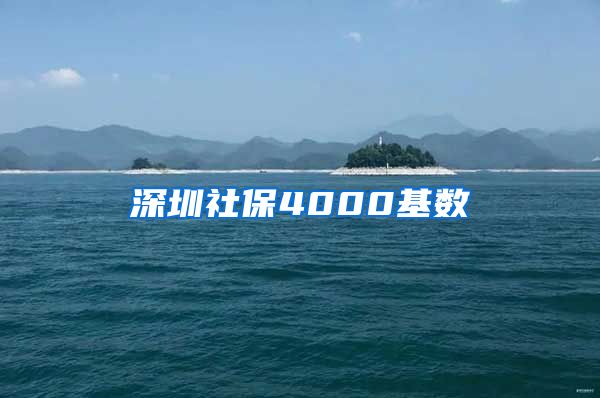 深圳社保4000基数