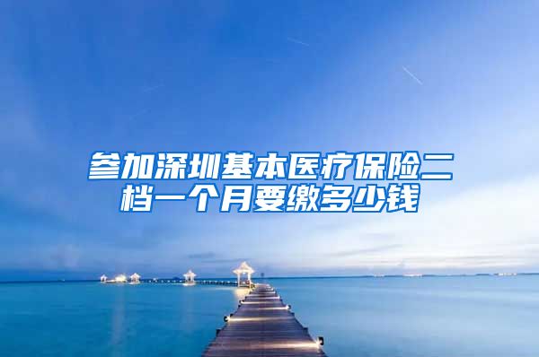 参加深圳基本医疗保险二档一个月要缴多少钱