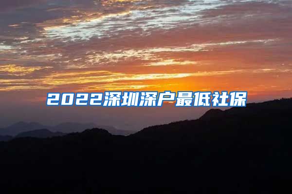 2022深圳深户最低社保