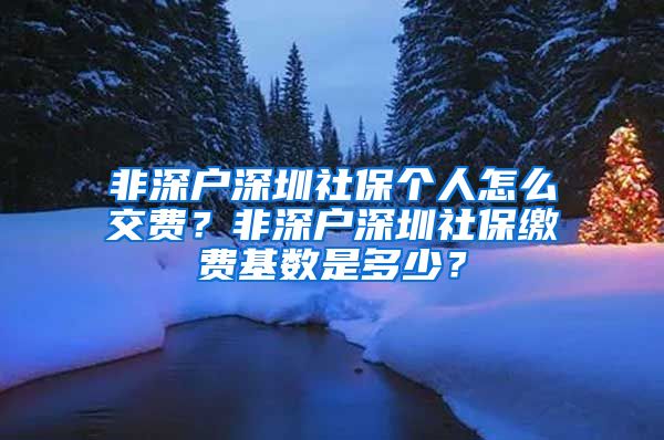 非深户深圳社保个人怎么交费？非深户深圳社保缴费基数是多少？