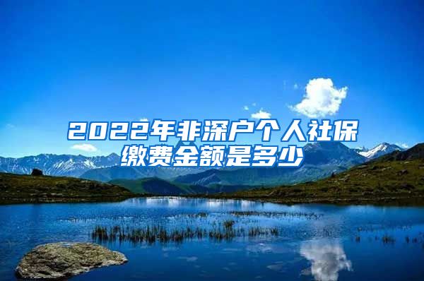 2022年非深户个人社保缴费金额是多少