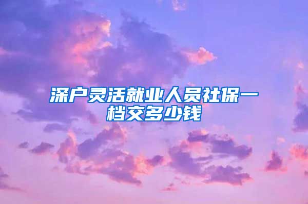 深户灵活就业人员社保一档交多少钱