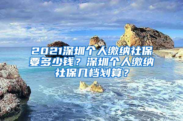 2021深圳个人缴纳社保要多少钱？深圳个人缴纳社保几档划算？