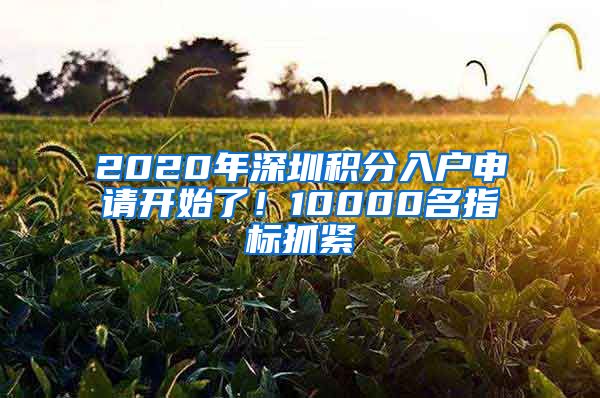 2020年深圳积分入户申请开始了！10000名指标抓紧