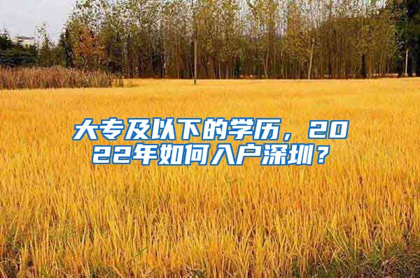 大专及以下的学历，2022年如何入户深圳？