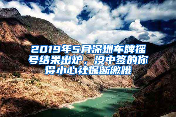 2019年5月深圳车牌摇号结果出炉，没中签的你得小心社保断缴哦