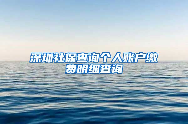 深圳社保查询个人账户缴费明细查询