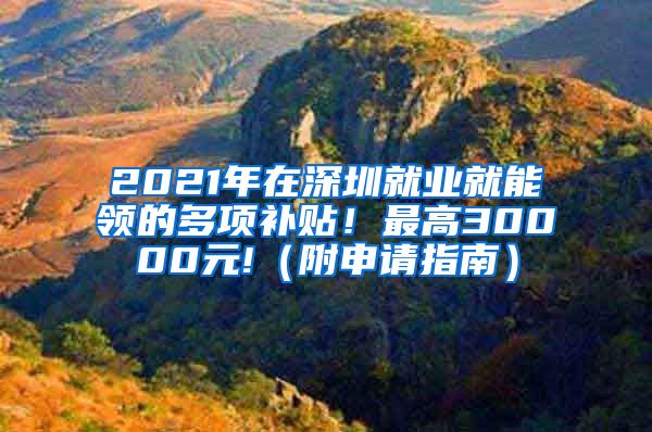 2021年在深圳就业就能领的多项补贴！最高30000元!（附申请指南）