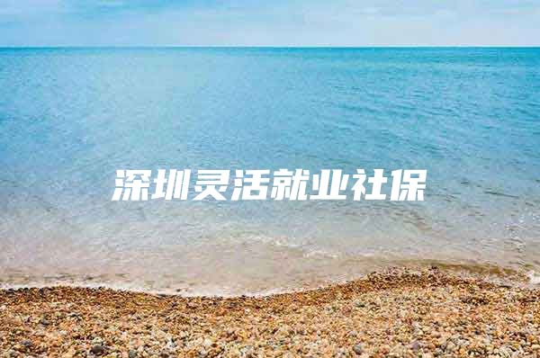 深圳灵活就业社保