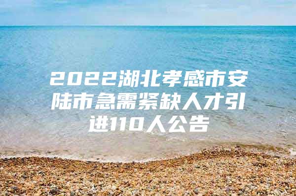 2022湖北孝感市安陆市急需紧缺人才引进110人公告