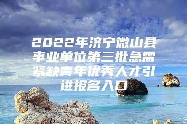 2022年济宁微山县事业单位第三批急需紧缺青年优秀人才引进报名入口