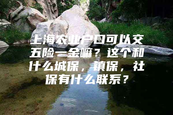 上海农业户口可以交五险一金嘛？这个和什么城保，镇保，社保有什么联系？