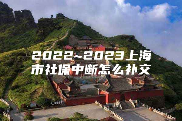 2022~2023上海市社保中断怎么补交