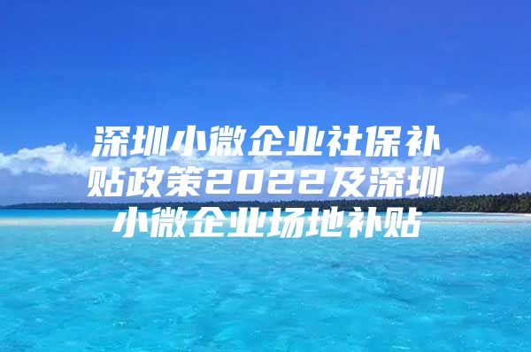 深圳小微企业社保补贴政策2022及深圳小微企业场地补贴