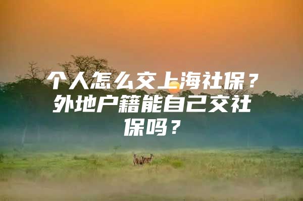 个人怎么交上海社保？外地户籍能自己交社保吗？