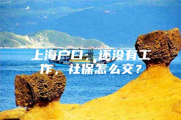 上海户口，还没有工作，社保怎么交？