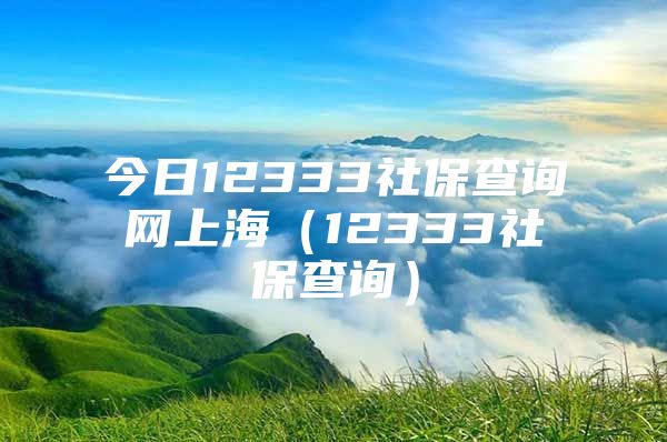 今日12333社保查询网上海（12333社保查询）