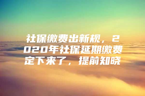 社保缴费出新规，2020年社保延期缴费定下来了，提前知晓