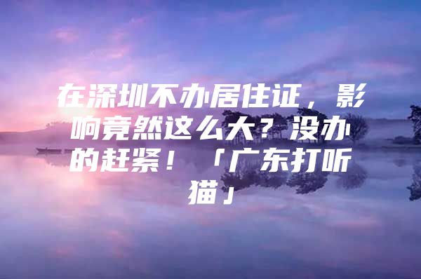 在深圳不办居住证，影响竟然这么大？没办的赶紧！「广东打听猫」