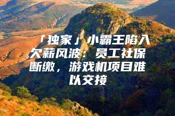 「独家」小霸王陷入欠薪风波：员工社保断缴，游戏机项目难以交接