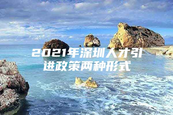 2021年深圳人才引进政策两种形式