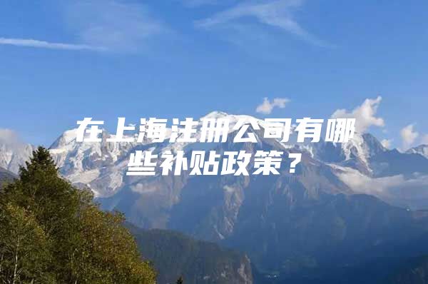 在上海注册公司有哪些补贴政策？