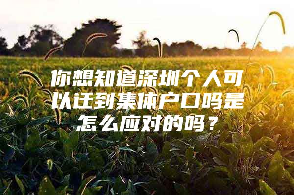 你想知道深圳个人可以迁到集体户口吗是怎么应对的吗？