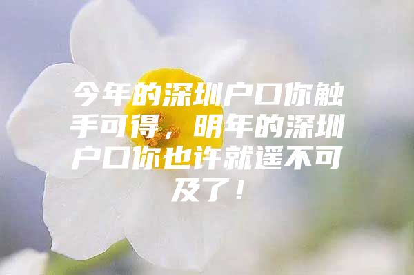 今年的深圳户口你触手可得，明年的深圳户口你也许就遥不可及了！