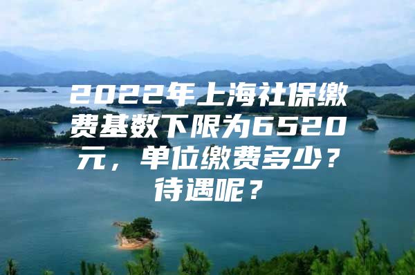 2022年上海社保缴费基数下限为6520元，单位缴费多少？待遇呢？