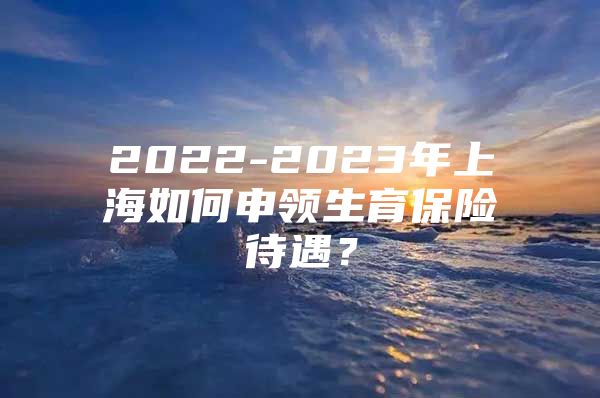 2022-2023年上海如何申领生育保险待遇？