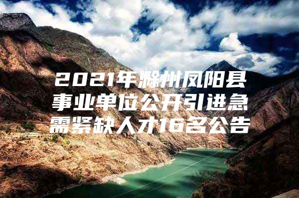 2021年滁州凤阳县事业单位公开引进急需紧缺人才16名公告