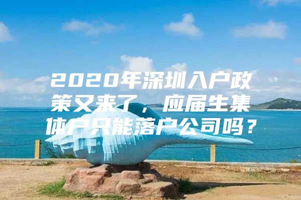 2020年深圳入户政策又来了，应届生集体户只能落户公司吗？