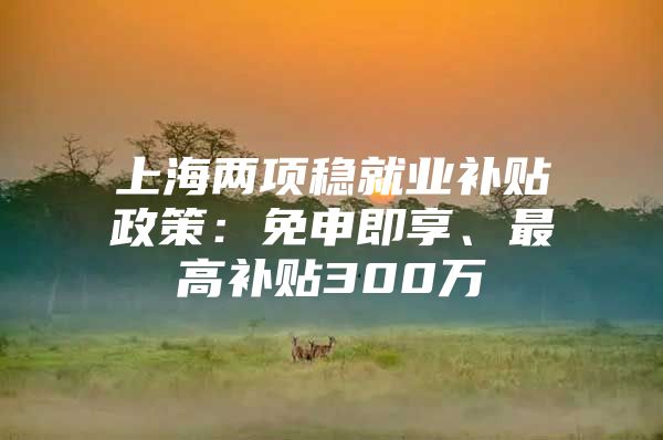 上海两项稳就业补贴政策：免申即享、最高补贴300万