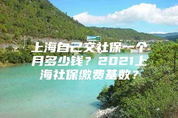 上海自己交社保一个月多少钱？2021上海社保缴费基数？