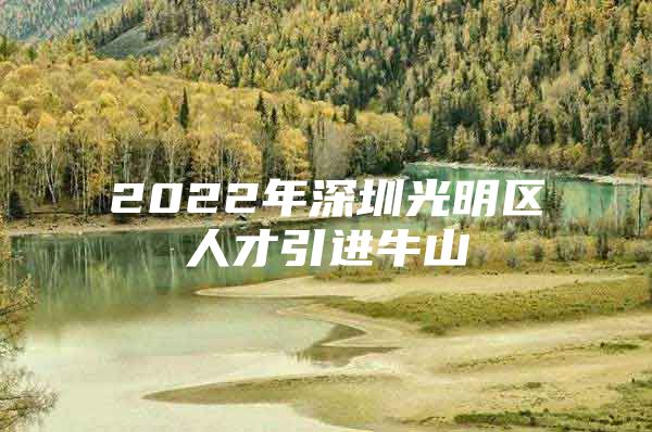 2022年深圳光明区人才引进牛山