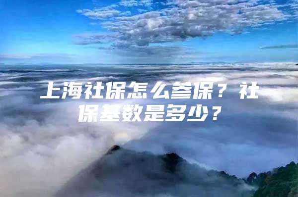 上海社保怎么参保？社保基数是多少？