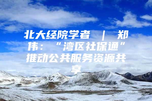 北大经院学者 ｜ 郑伟：“湾区社保通”推动公共服务资源共享