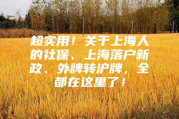 超实用！关于上海人的社保、上海落户新政、外牌转沪牌，全都在这里了！