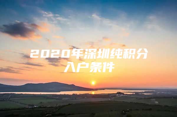 2020年深圳纯积分入户条件