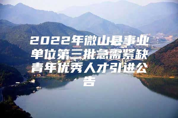 2022年微山县事业单位第三批急需紧缺青年优秀人才引进公告