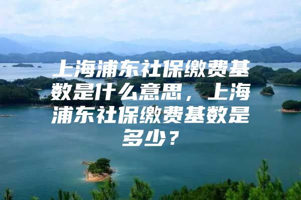 上海浦东社保缴费基数是什么意思，上海浦东社保缴费基数是多少？