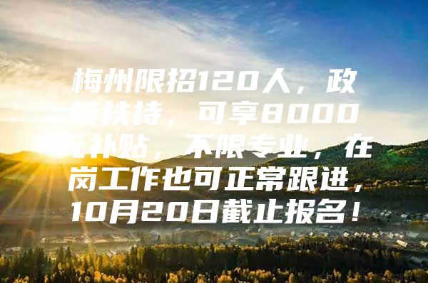 梅州限招120人，政策扶持，可享8000元补贴，不限专业，在岗工作也可正常跟进，10月20日截止报名！