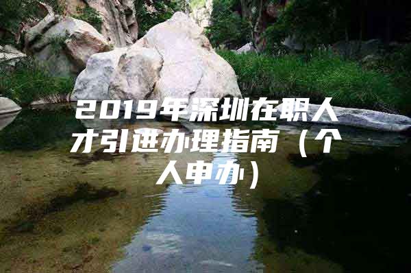 2019年深圳在职人才引进办理指南（个人申办）