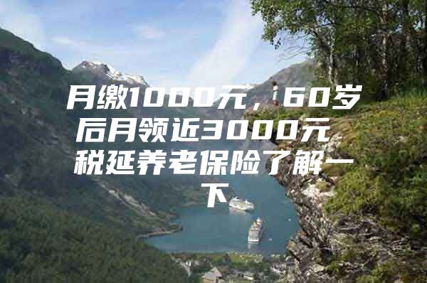 月缴1000元，60岁后月领近3000元 税延养老保险了解一下