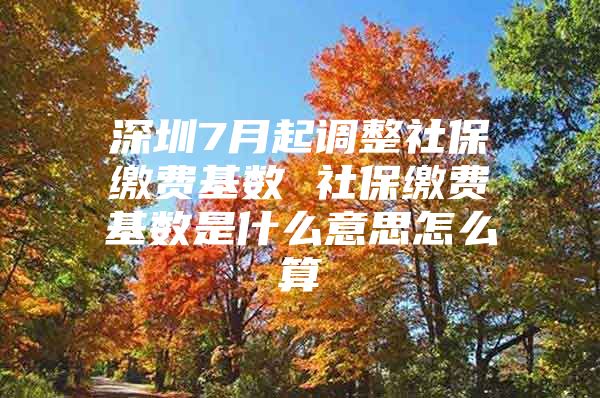 深圳7月起调整社保缴费基数 社保缴费基数是什么意思怎么算