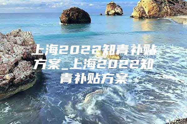 上海2022知青补贴方案_上海2022知青补贴方案