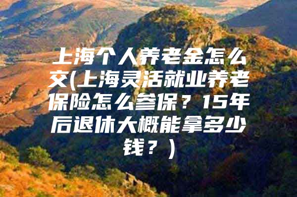 上海个人养老金怎么交(上海灵活就业养老保险怎么参保？15年后退休大概能拿多少钱？)