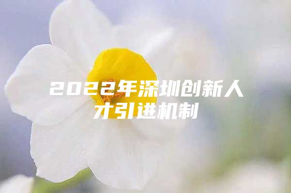 2022年深圳创新人才引进机制