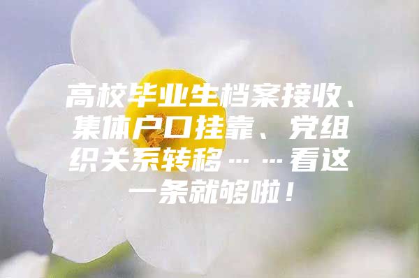 高校毕业生档案接收、集体户口挂靠、党组织关系转移……看这一条就够啦！