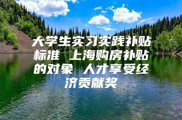 大学生实习实践补贴标准 上海购房补贴的对象 人才享受经济贡献奖